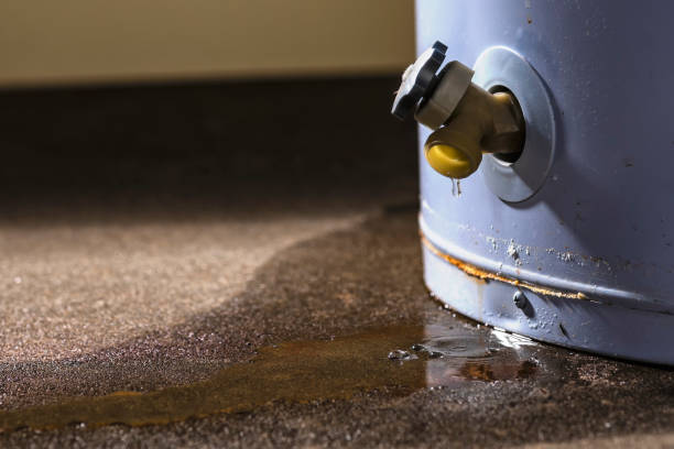 Best Emergency water damage restoration  in Bayonet Point, FL