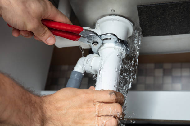 Best Mold removal after water damage  in Bayonet Point, FL