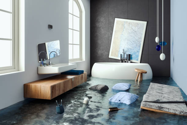 Best Water damage contractors near me  in Bayonet Point, FL