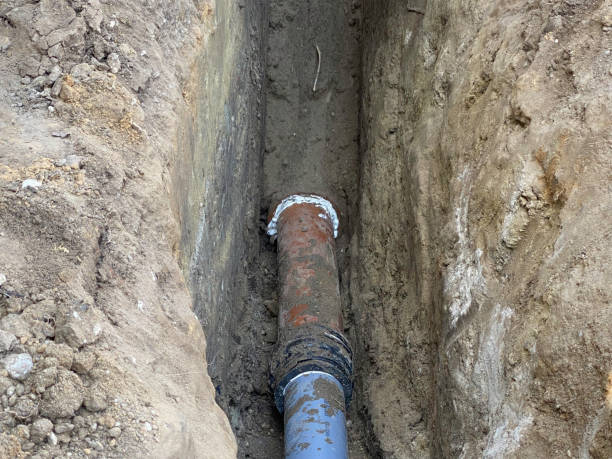 Best Professional water damage repair  in Bayonet Point, FL