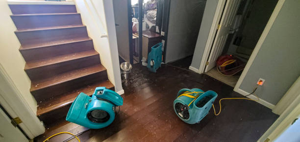 Best Water damage restoration services  in Bayonet Point, FL