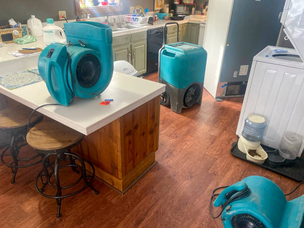 Best Flood damage cleanup  in Bayonet Point, FL