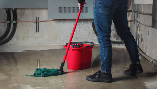 Best Flooded house restoration  in Bayonet Point, FL