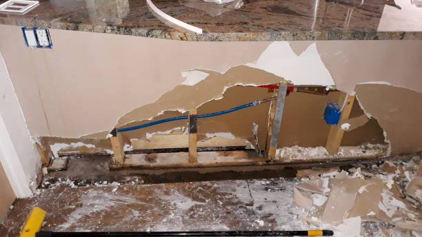 Best 24-hour water damage restoration  in Bayonet Point, FL