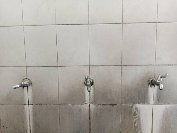 Best Ceiling water damage repair  in Bayonet Point, FL