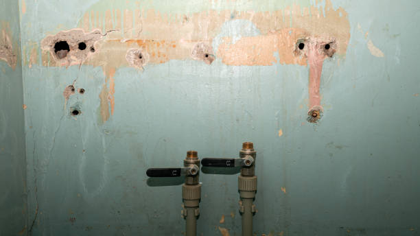  Bayonet Point, FL Water damage restoration Pros