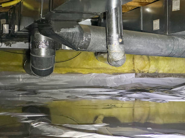 Best Carpet water damage restoration  in Bayonet Point, FL