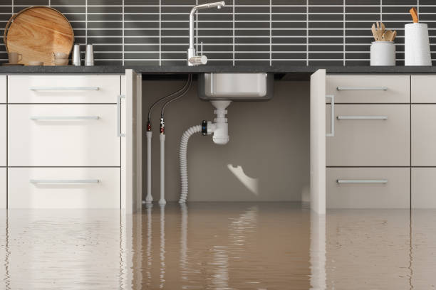 Best Residential water damage restoration  in Bayonet Point, FL