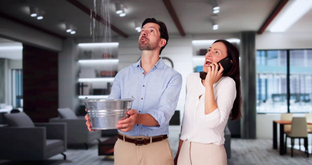 Best Flooded house restoration  in Bayonet Point, FL